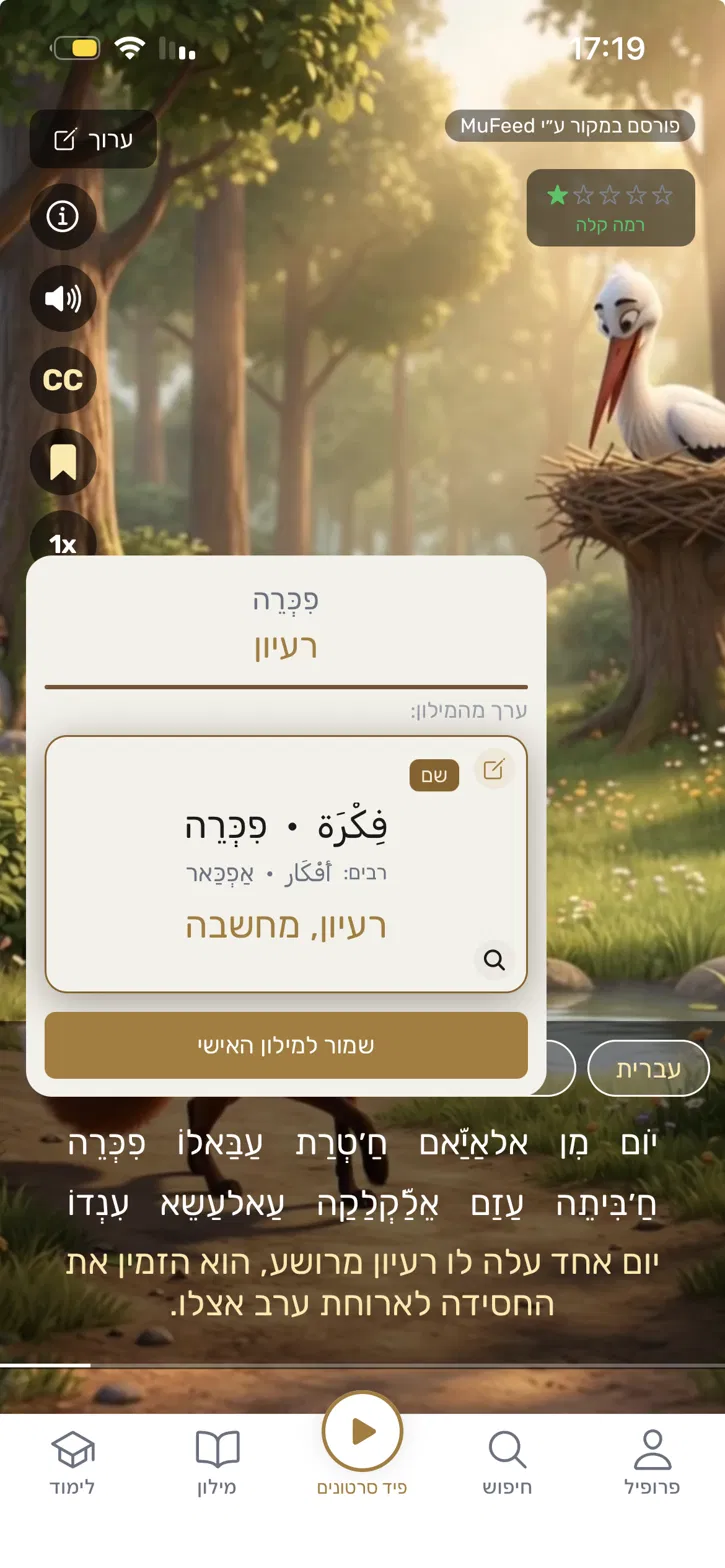 מסך הפיד לאחר לחיצה על מילה: הסרטון עוצר ומוצג כרטיס עם הפירוש של המילה